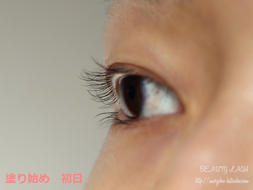 IMG_3736aaa